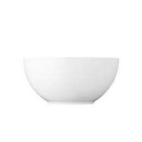 CESTINI - FRUTTIERE - CENTROTAVOLA ROSENTHAL LOFT-INS -012