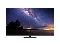 TV OLED: PANASONIC PANA-TV55-248