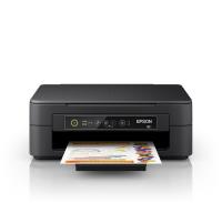 STAMPANTI / SCANNER / MULTIFUNZIONE: EPSON EPSO-STAM-053