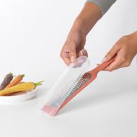 GRATTUGE: BRABANTIA BRAB-GRAT-010