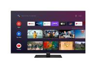 TV LED: PANASONIC PANA-TV43-034