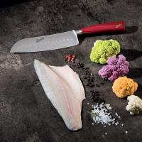 COLTELLI CUCINA: BERKEL BERK-SANT-012